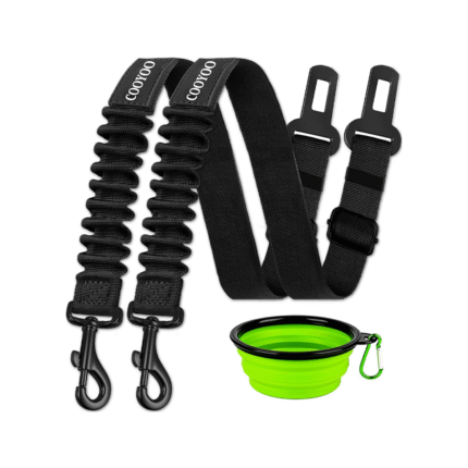 Pet Accessories