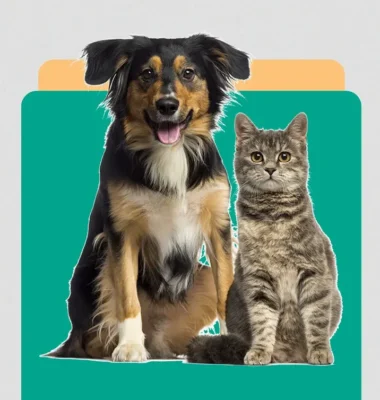 promo-banner-image